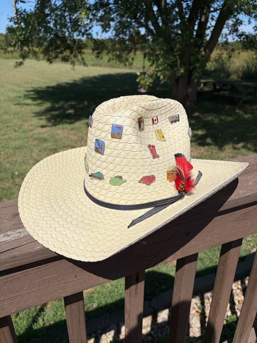 Bailey U-Rollit Straw Cowboy Hat With Souvenir Pins